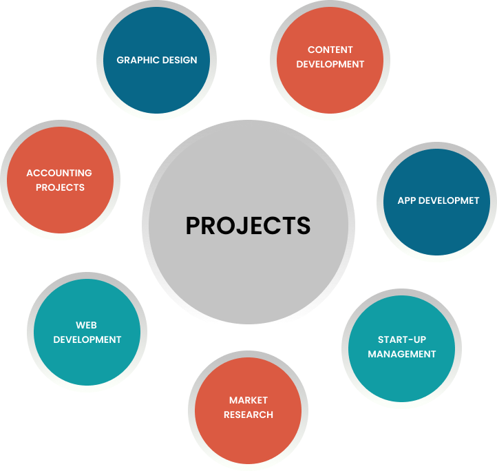 Project Assistant SOLVA